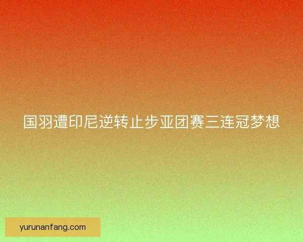 国羽遭印尼逆转止步亚团赛三连冠梦想